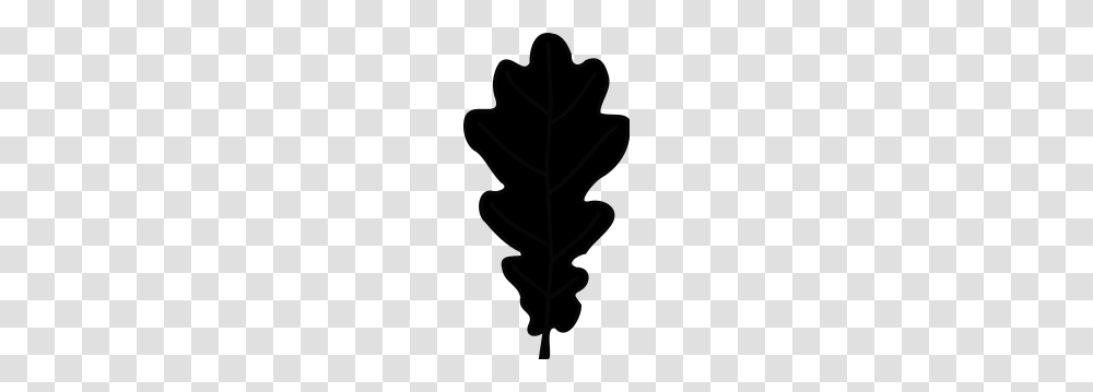 Oak Leaf Silhouette, Floral Design, Pattern Transparent Png