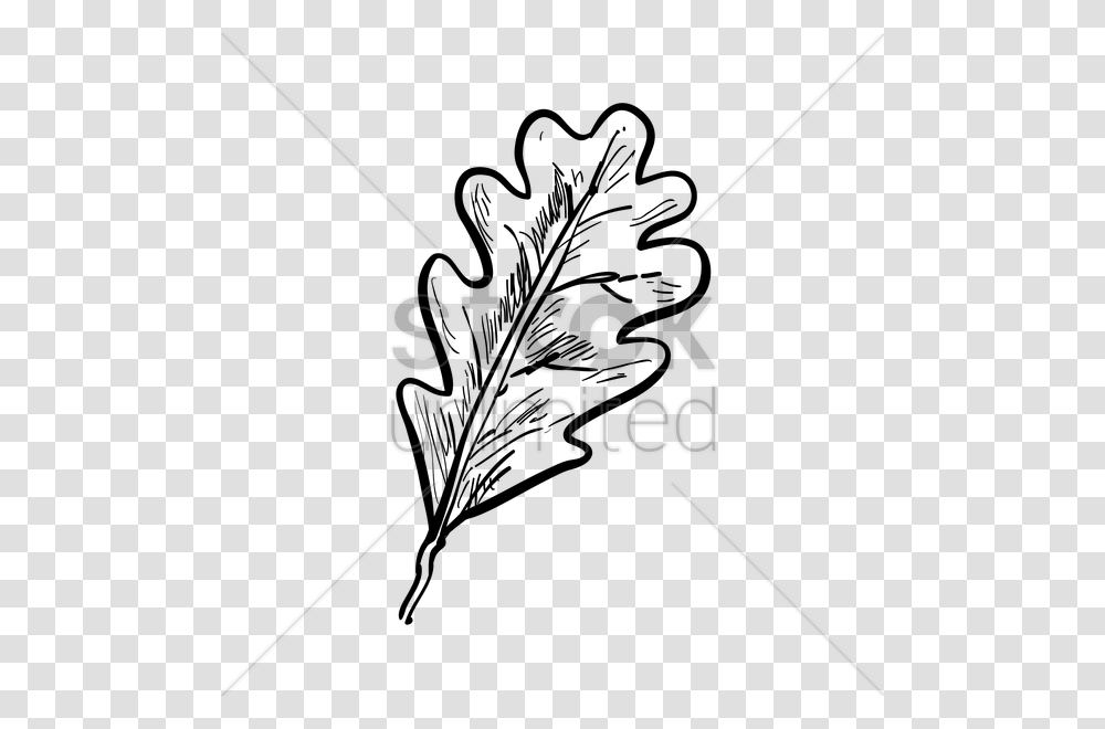 Oak Leaf Vector Image, Bow, Triangle, Urban Transparent Png