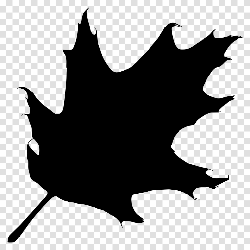 Oak Leaves Clip Art Black And White, Leaf, Plant, Maple Leaf, Tree Transparent Png