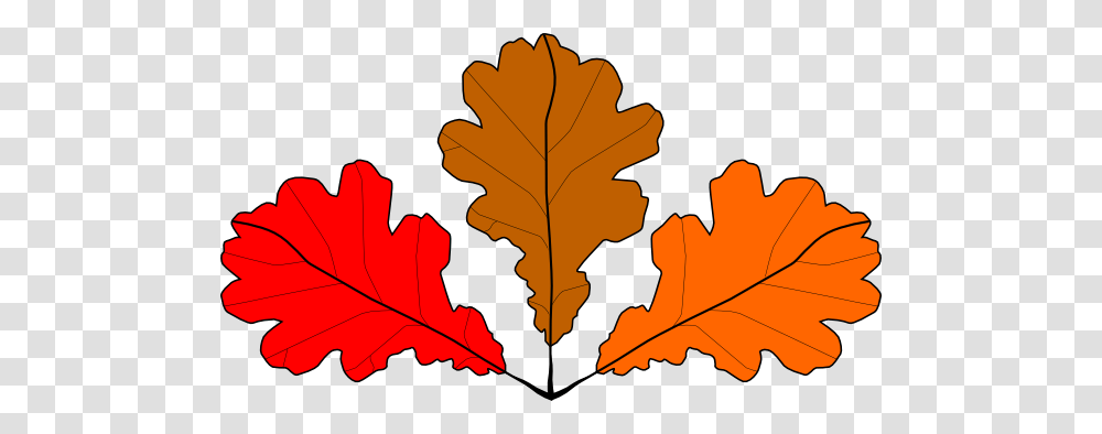 Oak Leaves Clip Art For Web, Leaf, Plant, Tree, Maple Transparent Png