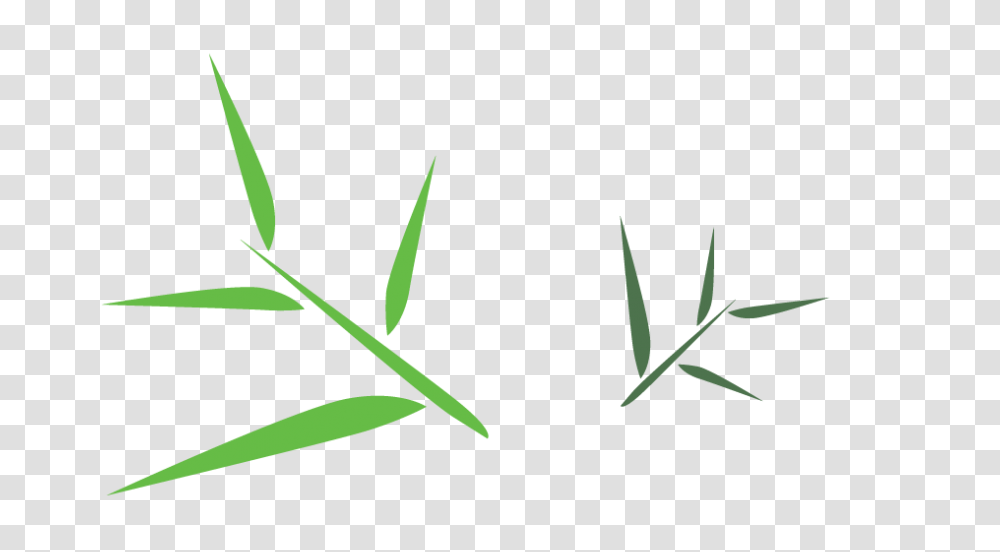 Oak, Plant, Leaf, Insect, Flower Transparent Png