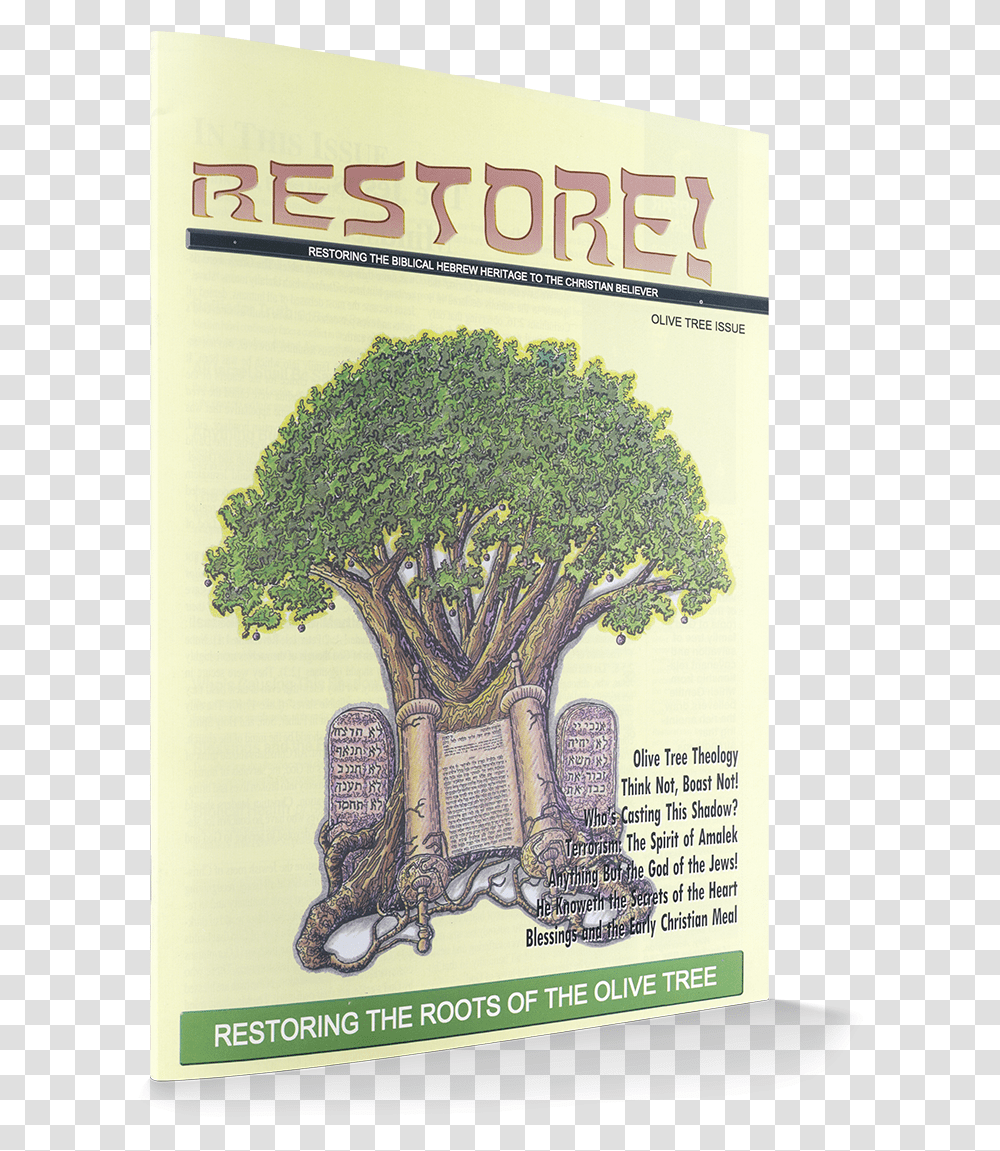 Oak, Plant, Poster, Advertisement, Tree Transparent Png