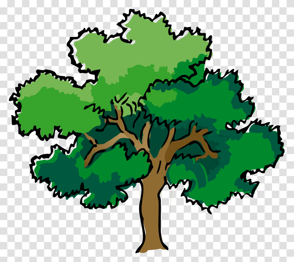 Oak, Plant, Tree Transparent Png