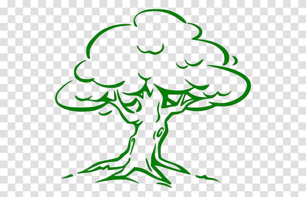 Oak Sm Cartoon Oak Tree Drawing, Plant, Flower Transparent Png