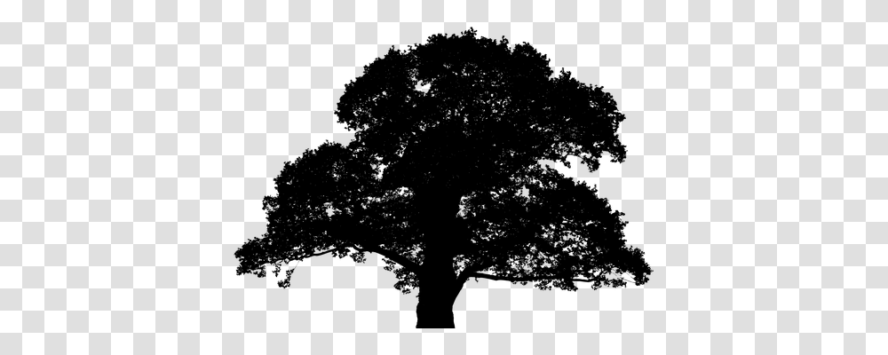 Oak Tree Nature, Gray, World Of Warcraft Transparent Png