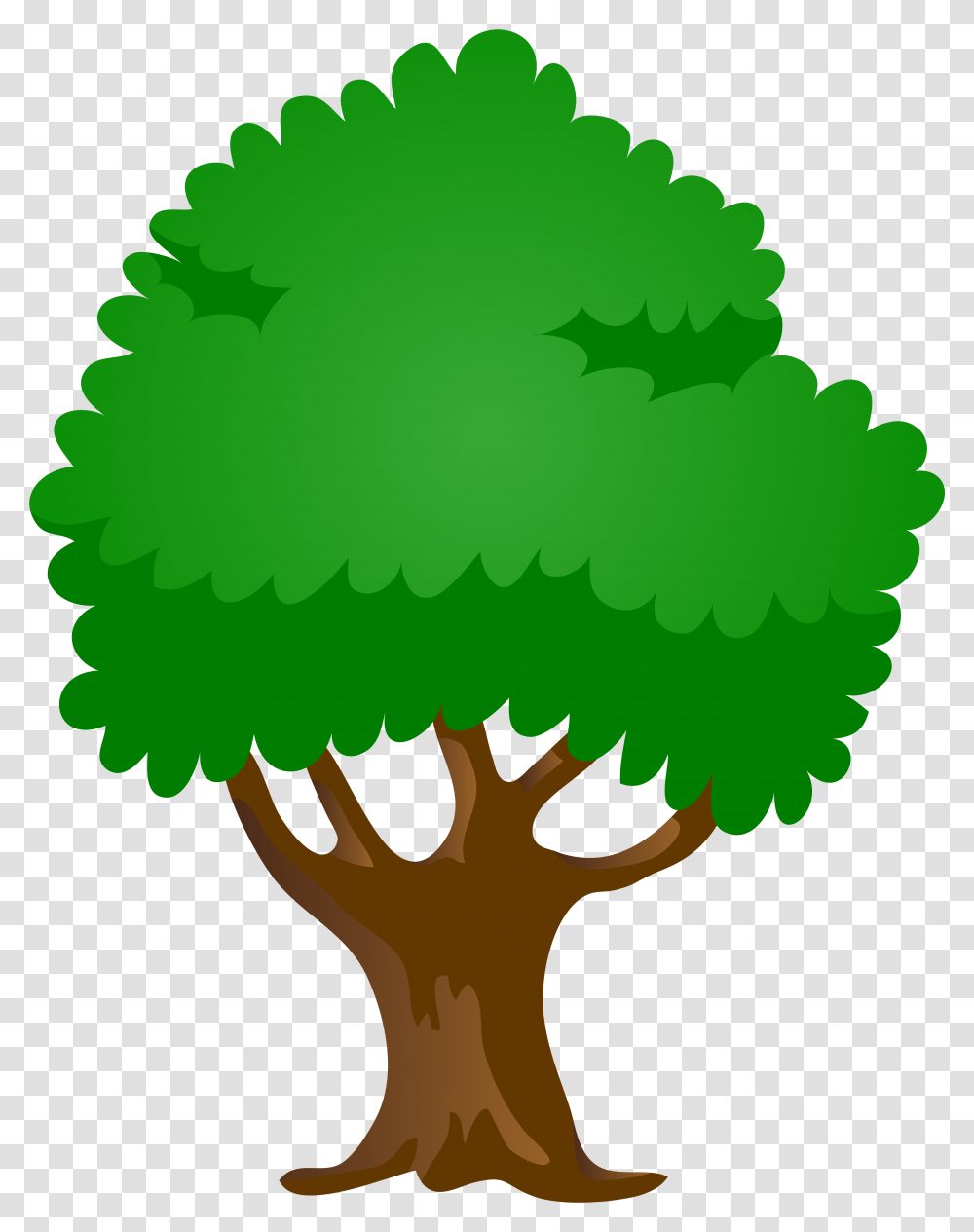 Oak Tree Cartoon Download Cartoon Mulberry Tree Drawing, Green, Plant, Graphics Transparent Png