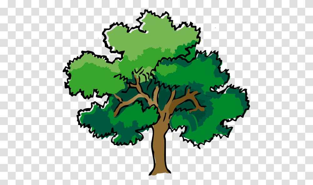 Oak Tree Clip Art Oak Tree Clip Art Clip Art Trees, Plant, Green, Vegetation Transparent Png