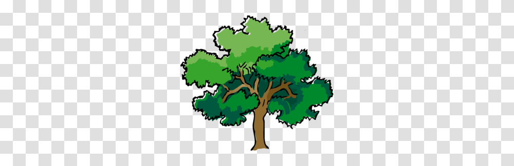 Oak Tree Clip Art, Plant, Tree Trunk, Sycamore, Vegetation Transparent Png