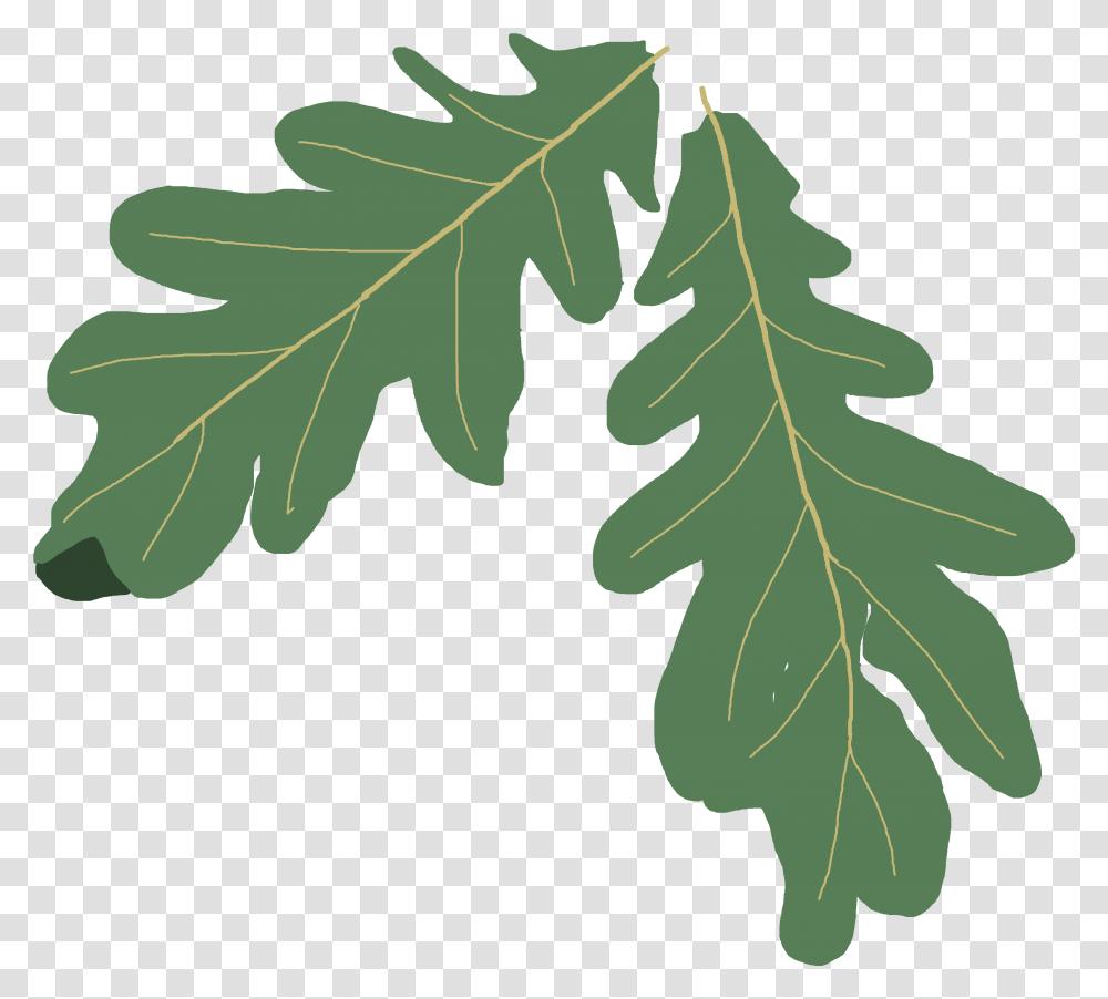 Oak Tree Clip Art Silhouette Oak Leaf Clipart, Plant, Nut, Vegetable, Food Transparent Png
