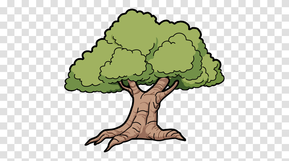 Oak Tree Clip Art Tree Oak Scalable Vector Graphics Clip, Plant, Root, Vegetable, Food Transparent Png