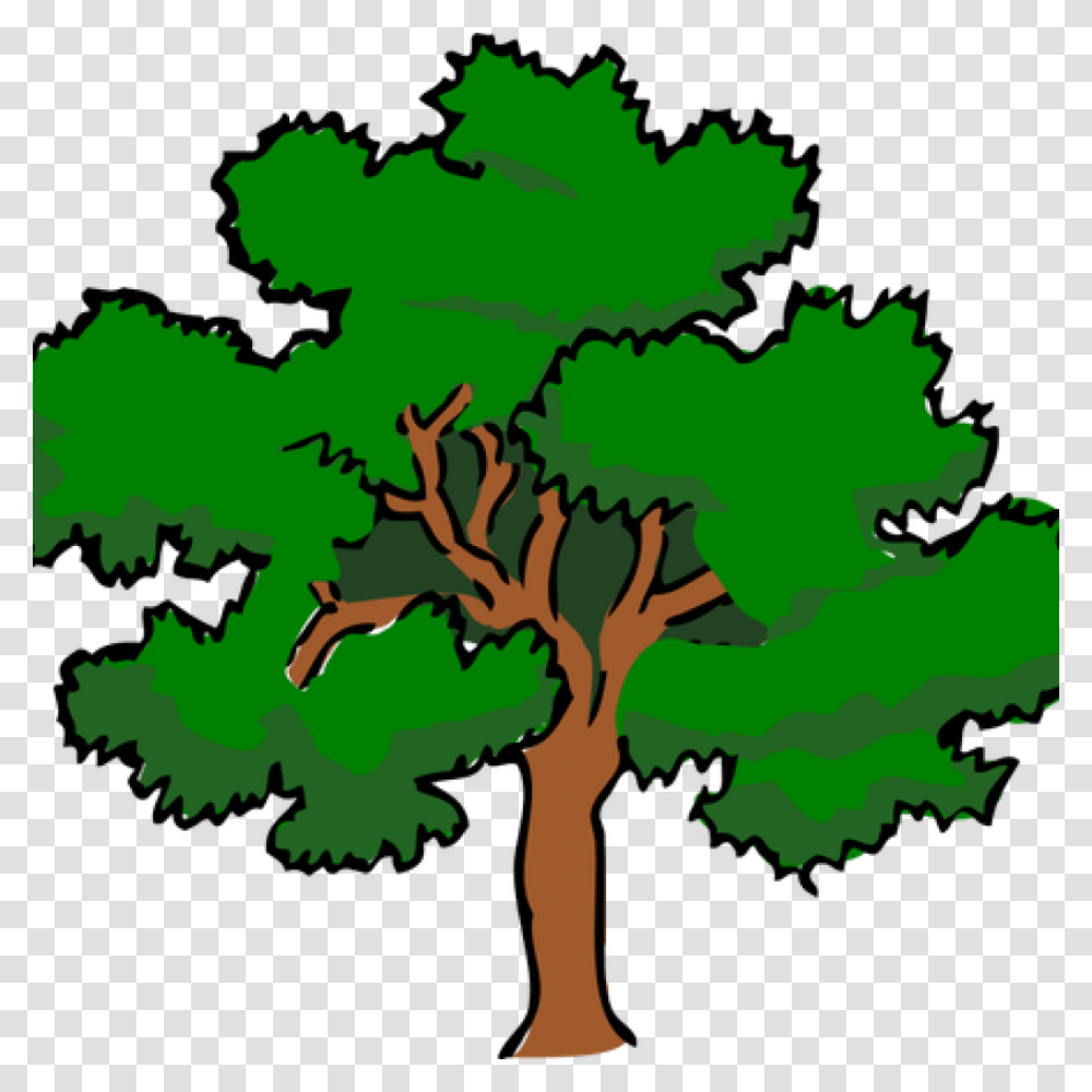 Oak Tree Clip Art Vector Of Oaktree With Wide Treetop Public, Plant, Tree Trunk, Poster, Advertisement Transparent Png