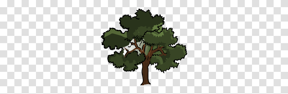 Oak Tree Clip Arts For Web, Plant, Vegetation, Tree Trunk, Painting Transparent Png