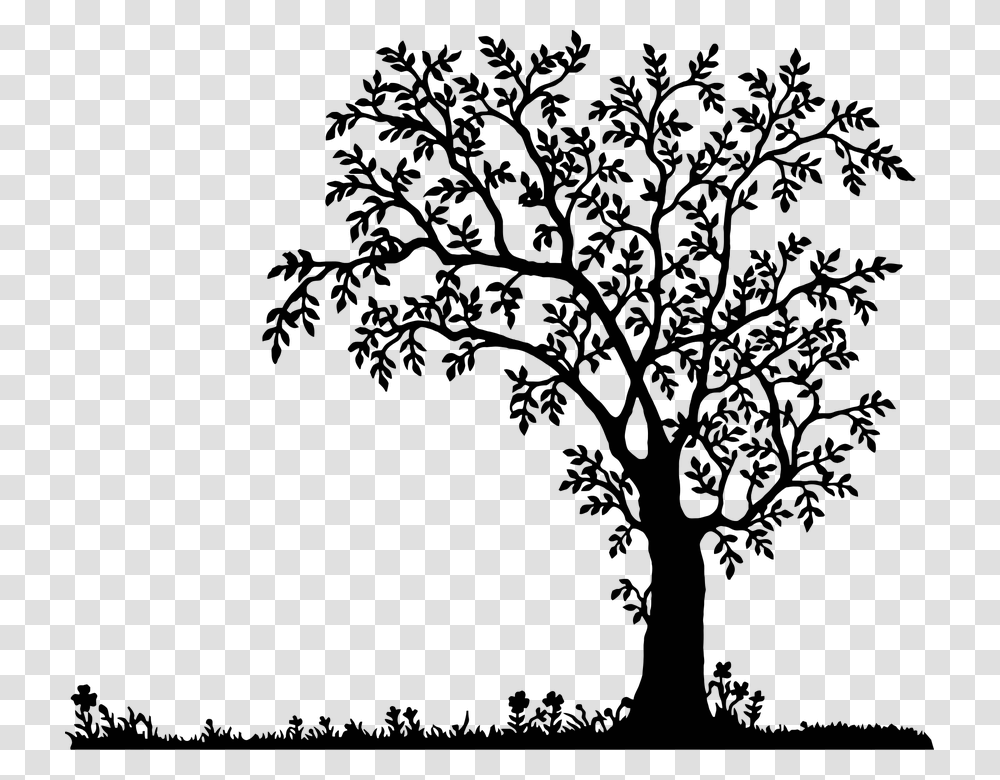 Oak Tree Clipart Bird In A Tree Silhouette, Nature, Outdoors, Night, Astronomy Transparent Png