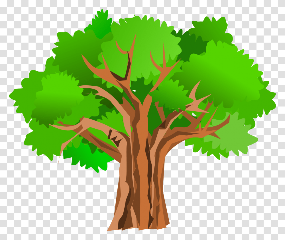 Oak Tree Clipart, Plant, Tree Trunk, Leaf Transparent Png