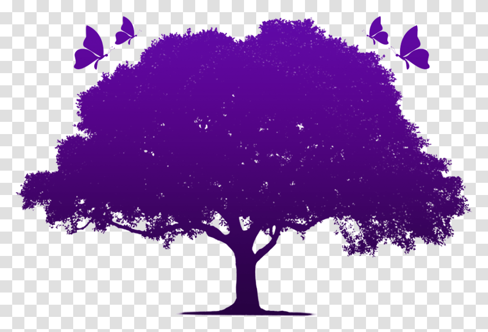 Oak Tree, Purple, Plant, Lingerie Transparent Png