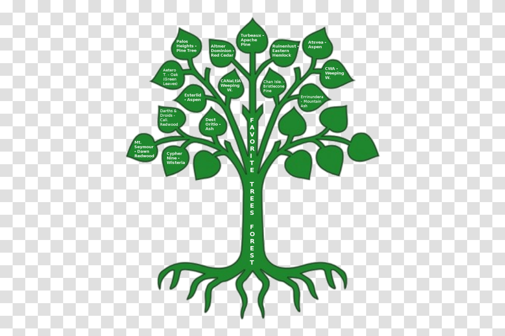 Oak Tree Coat Of Arms Clipart Coat Of Arms Tree, Plant, Green, Produce, Food Transparent Png