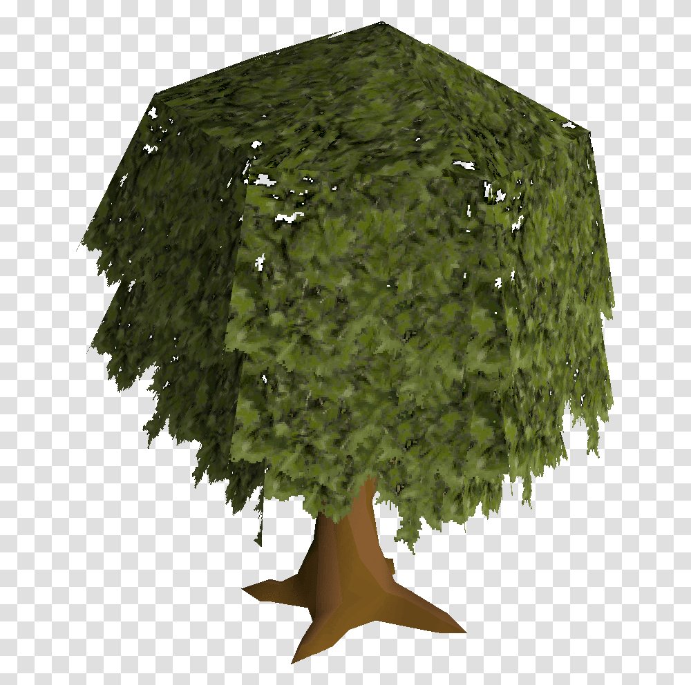 Oak Tree Construction Old School Runescape Wiki Fandom Runescape, Plant, Jar, Pottery, Vase Transparent Png