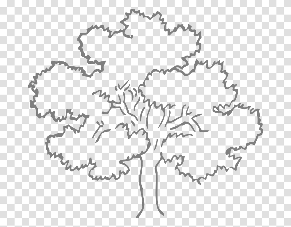 Oak Tree Grey Outline Nature Ecology Environment Outline Pictures Of Tree, Outdoors, Stencil Transparent Png