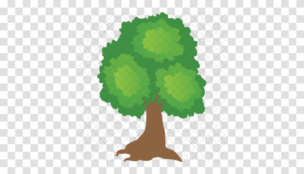 Oak Tree Icon Of Flat Style Oak Tree Icon, Plant, Vegetable, Food, Toy Transparent Png