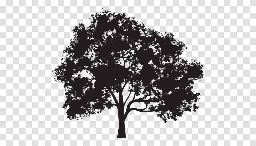 Oak Tree Silhouette, Plant, Nature, Outdoors, Tree Trunk Transparent Png