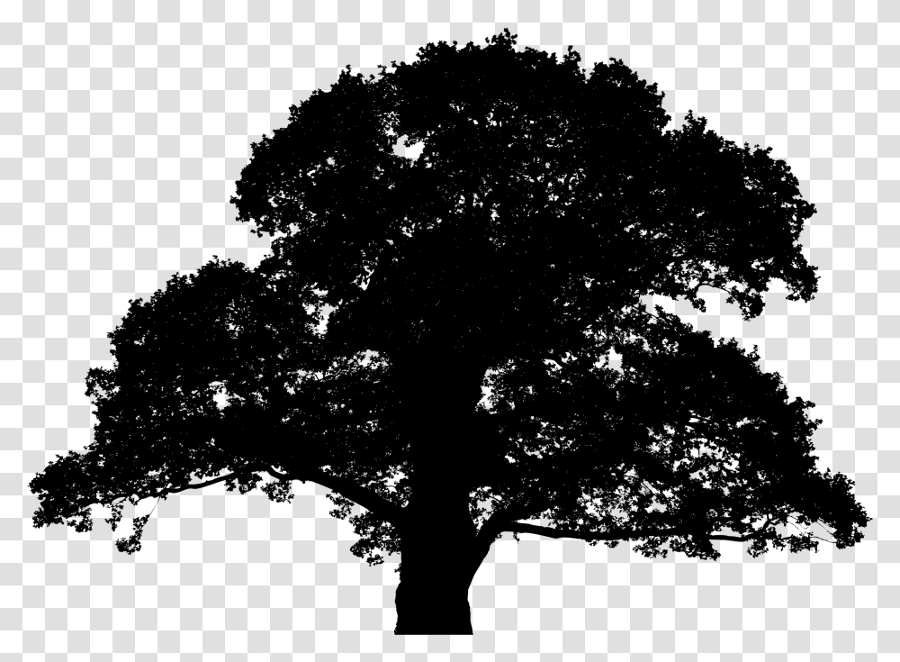 Oak Tree Silhouette Silhouette Tree, Gray, World Of Warcraft Transparent Png