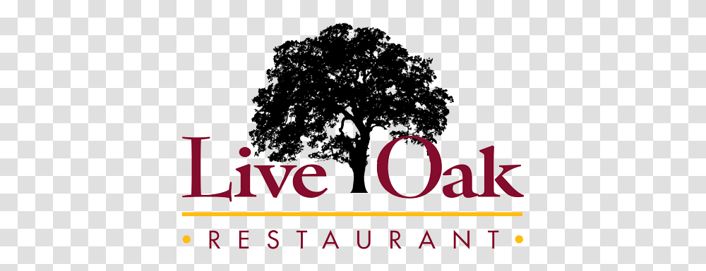 Oak Tree Silhouette Tree, Outdoors, Nature, Text, Alphabet Transparent Png