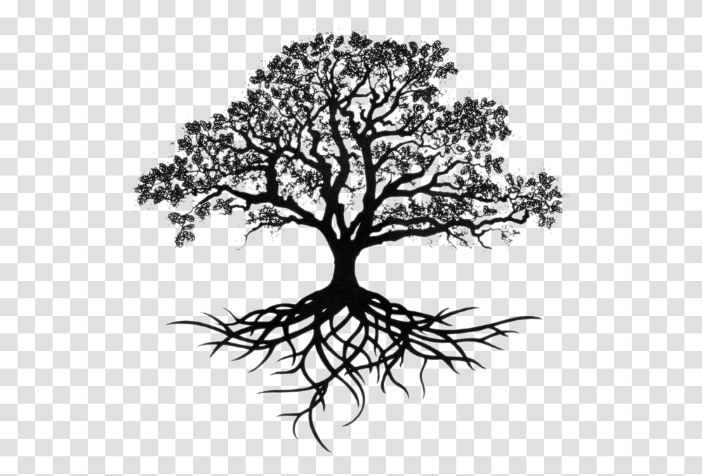 Oak Tree Silhouette With Roots, Plant Transparent Png