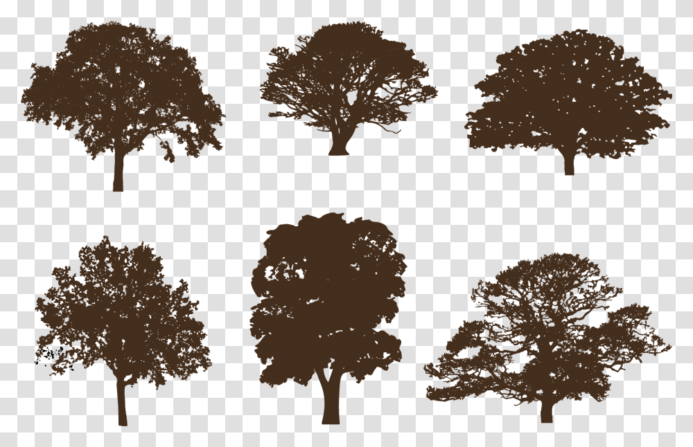 Oak Tree Silhouettes Vector Silhouette Tree In Brown, Plant, Tree Trunk, Maple, Stencil Transparent Png