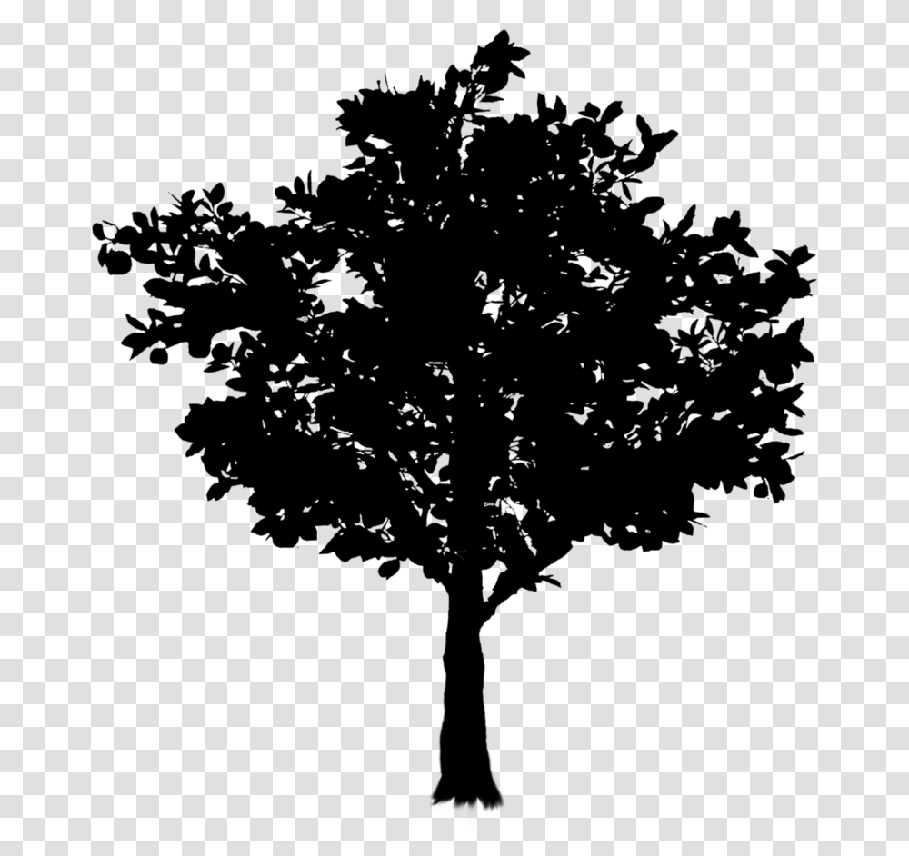 Oak Twig Tree Branch Free Frame Clipart, Gray, World Of Warcraft Transparent Png