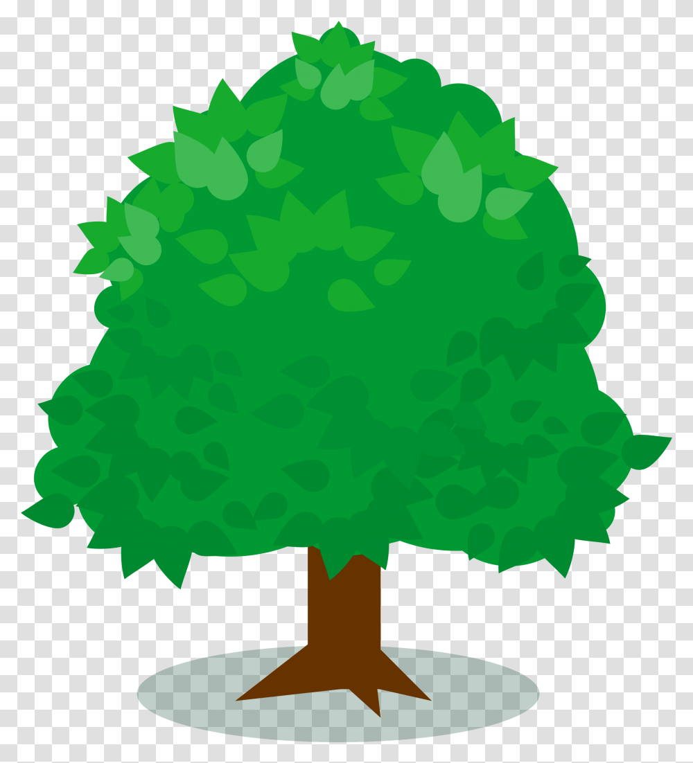 Oak Weeping Willow Fruit Tree Clipart, Plant, Graphics, Leaf, Birthday Cake Transparent Png