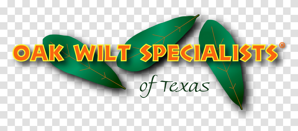 Oak Wilt Specialists Of Texas Log Graphic Design, Plant, Vegetation, Leaf Transparent Png