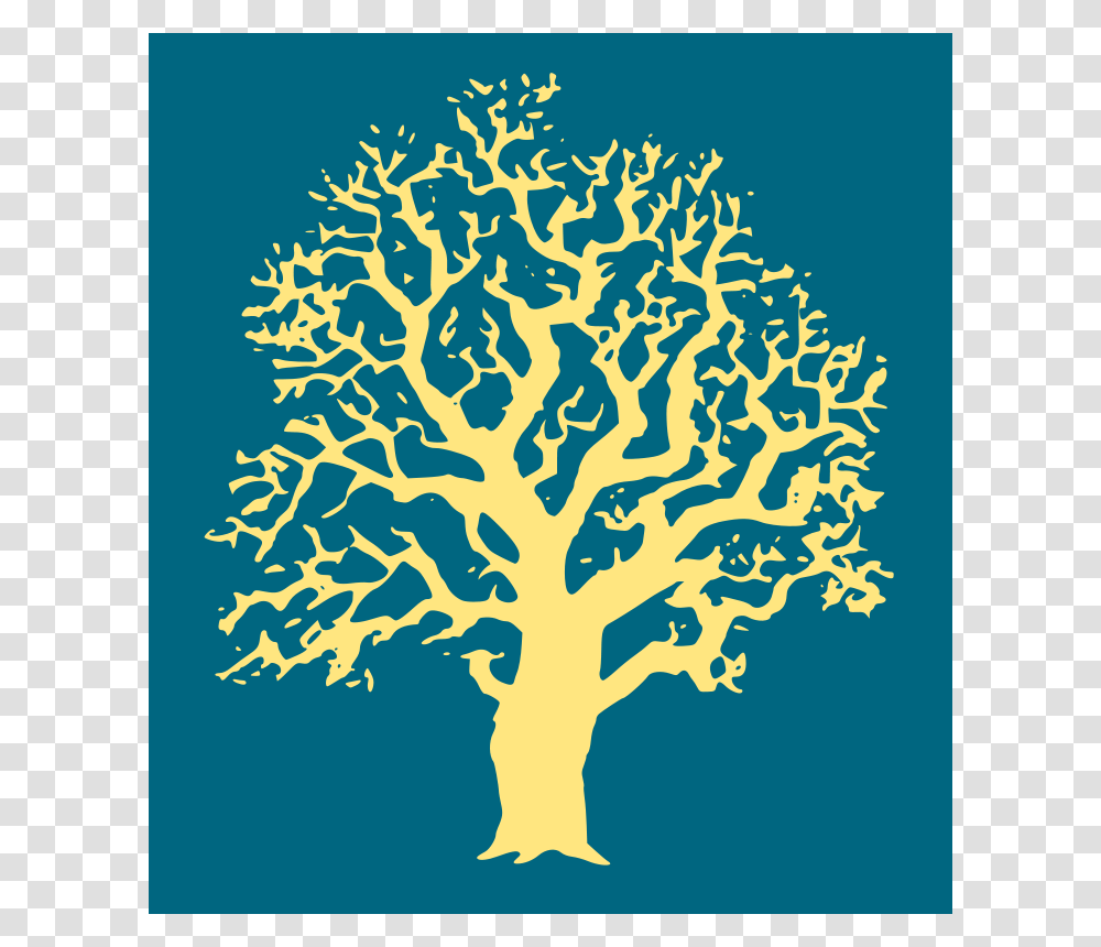 Oaktree, Nature, Plant Transparent Png