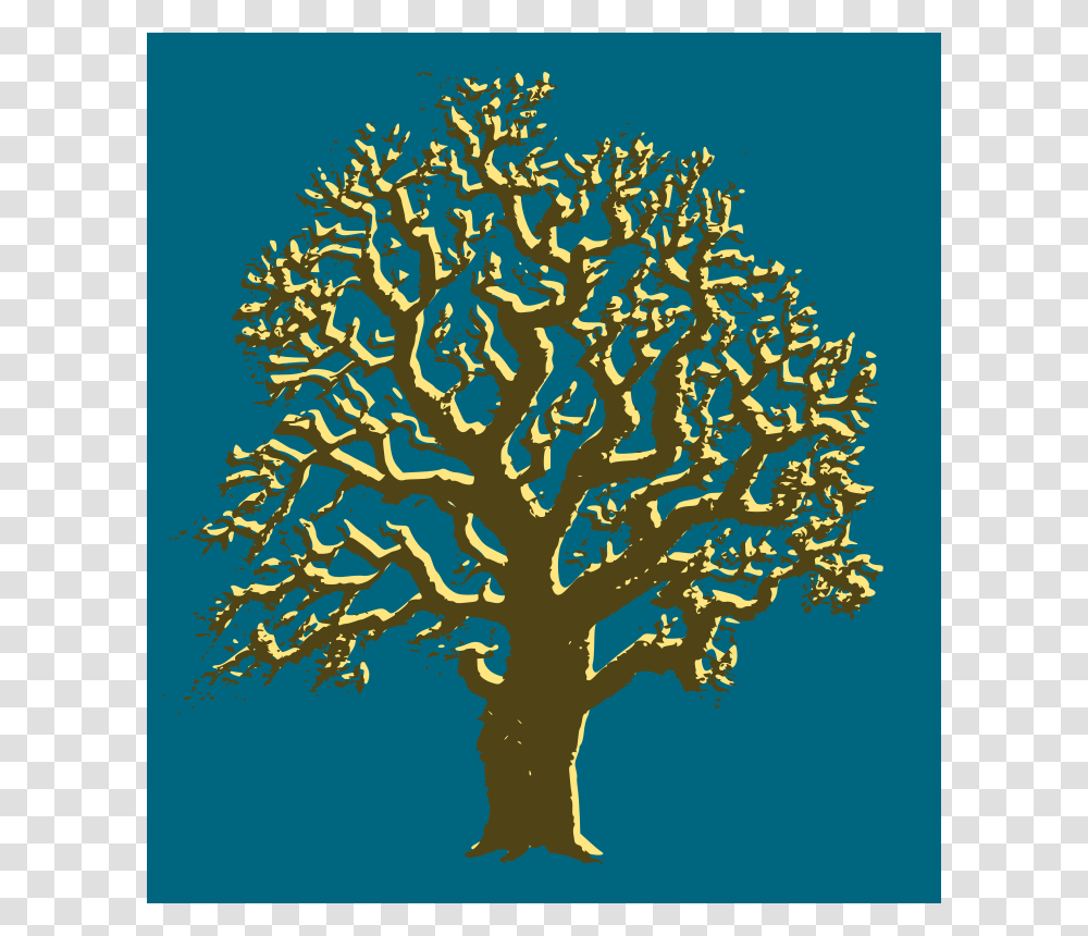 Oaktree, Nature, Plant, Tree Trunk, Painting Transparent Png