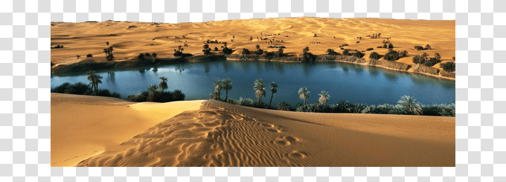 Oasis In Thar Desert, Soil, Nature, Outdoors, Sand Transparent Png