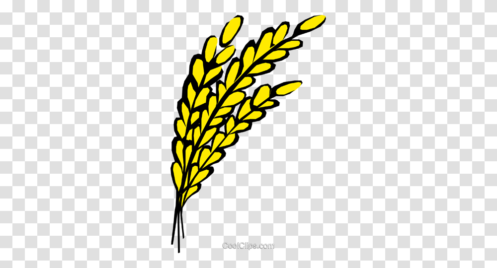 Oats Royalty Free Vector Clip Art Illustration, Leaf, Plant, Sunlight, Seaweed Transparent Png