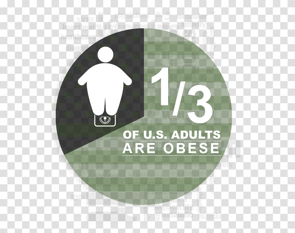 Obesity Infographic Flyer, Label, Word, Poster Transparent Png