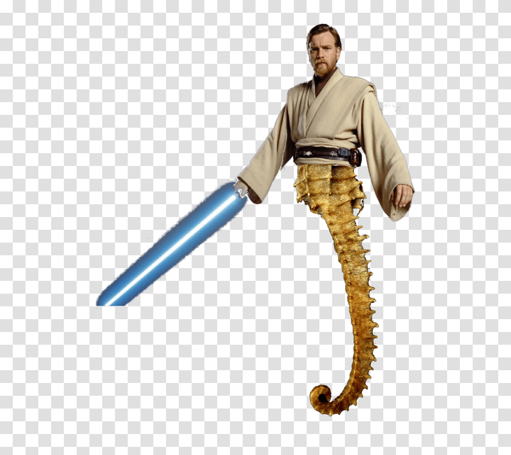 Obi Wan Kenobi, Person, Human, Sea Life, Animal Transparent Png