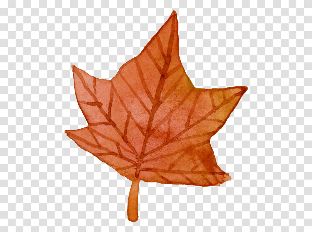 Objects With Irregular Shapes, Leaf, Plant, Tree, Blouse Transparent Png