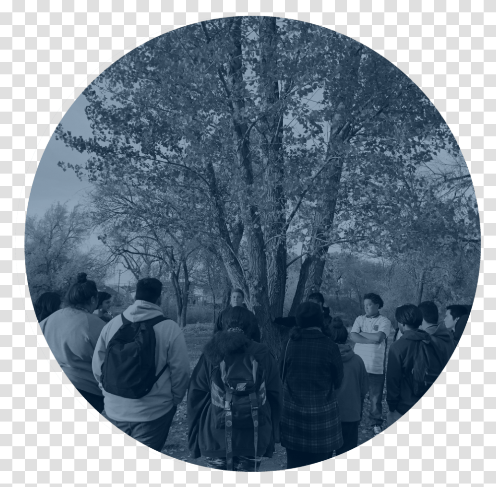 Observe Group Blue Circle, Person, Fisheye, Window, Painting Transparent Png
