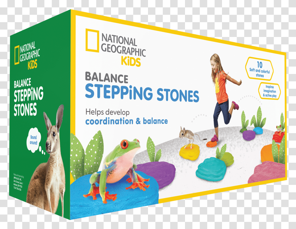Obstacle Course Balance Stepping Stones National Geographic Stepping Stones, Person, Human, Amphibian, Wildlife Transparent Png