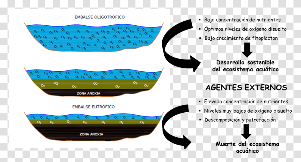 Obstruccion De Oxigeno En El Agua, Word, Label, Outdoors Transparent Png