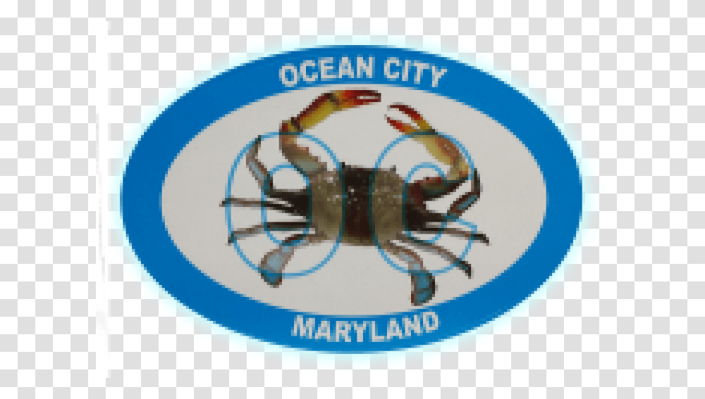 Oc Blue Crab Decal Shop Kites Flags Toys Decor Kite Loft, Food, Seafood, Sea Life, Animal Transparent Png