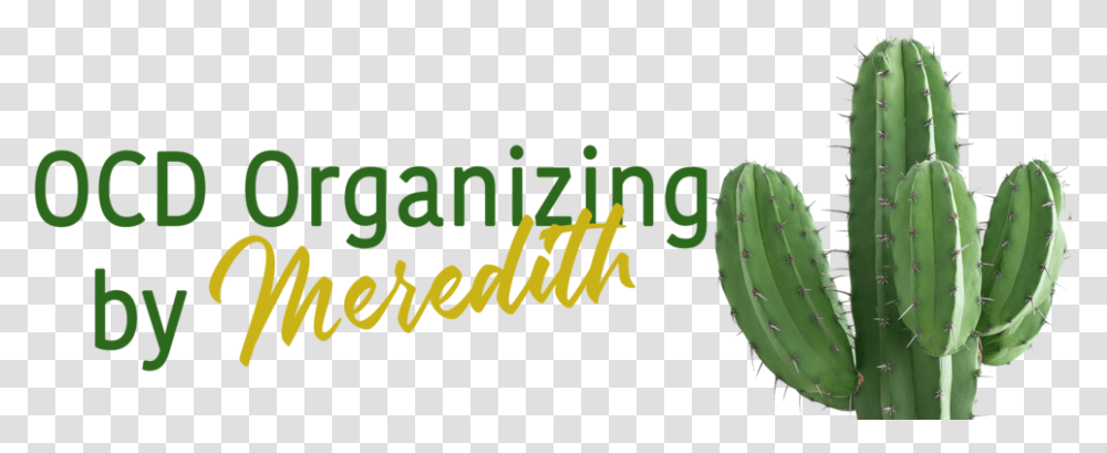 Ocd Organizing By Meredith Nopal, Plant, Text, Clothing, Food Transparent Png