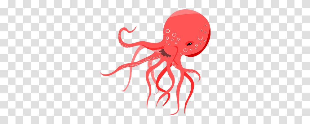 Ocean Holiday, Plant, Animal, Octopus Transparent Png