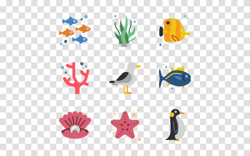 Ocean Animals Icons, Bird, Fish, Penguin Transparent Png