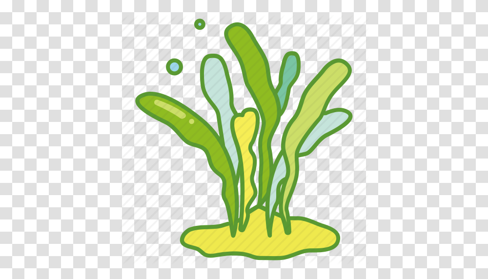 Ocean Clipart Seaweed, Plant, Food, Produce, Vegetable Transparent Png