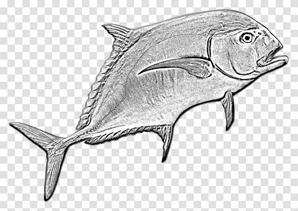 Ocean Fish Bony Fish, Animal, Bird, Mammal, Sea Life Transparent Png