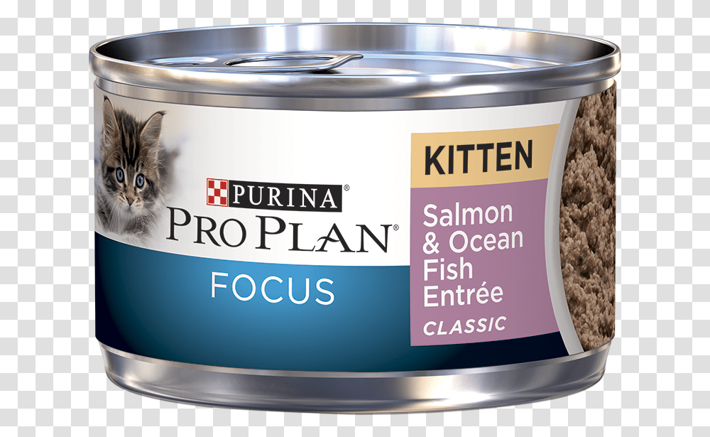 Ocean Fish, Paint Container, Tin, Can, Cat Transparent Png
