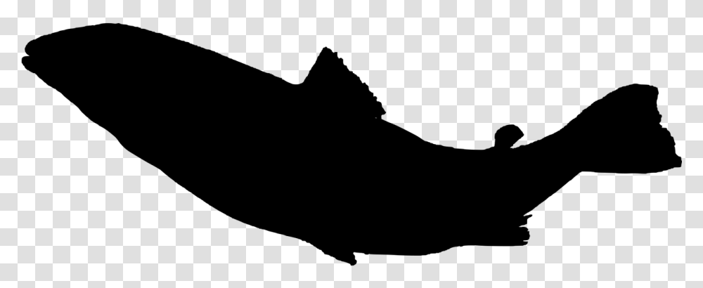 Ocean Fish Silhouette, Gray, World Of Warcraft Transparent Png