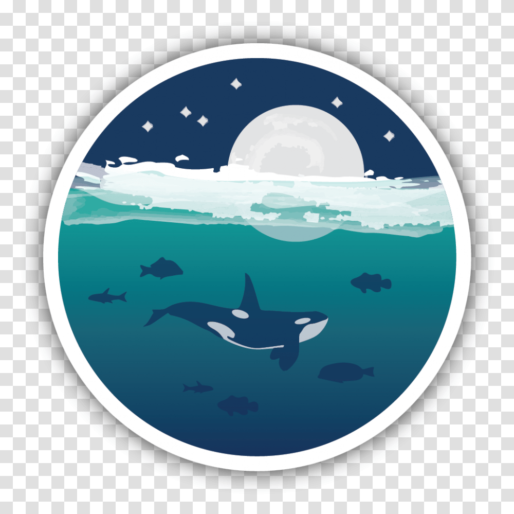Ocean Orca Sticker Orca Sticker, Sea Life, Animal, Mammal, Sea Lion Transparent Png